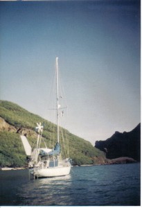 Velela in the Marquesas