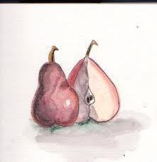 Pears, watercolor pencil on journal page
