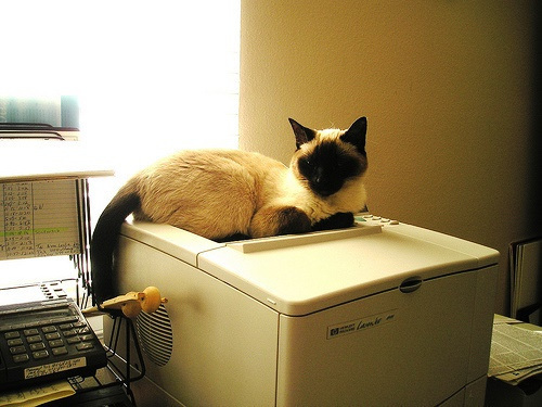 SerenComputer