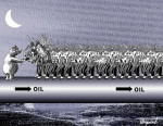 Oil