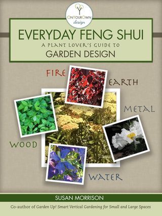 Feng Shui cover 2nd jpeg
