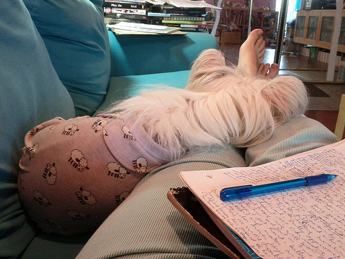 Petal leaning on me as I write. :)