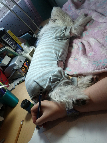 Petal making sure she's connected to me while i worked. I drew with her paw on me. :) She's sweet.