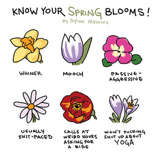 Know Your Spring Blooms