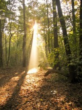 Post image for See Progress