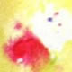 noimg 05 80 80 Photo a Day July Days Seventeen to Twenty: Oops #photoadayjuly