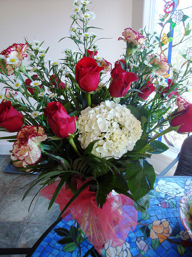 kurves flowers