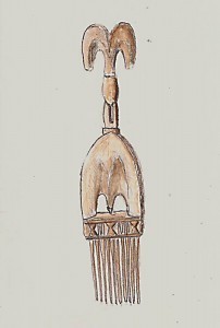 2013-02-05NigeriaComb