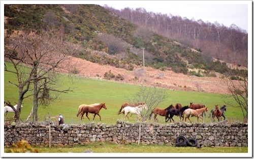 2 May 1 02-05-2013 10-28-23 4008x2449