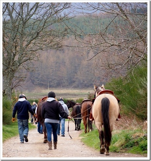 2 May 7 02-05-2013 10-36-39 2869x3069