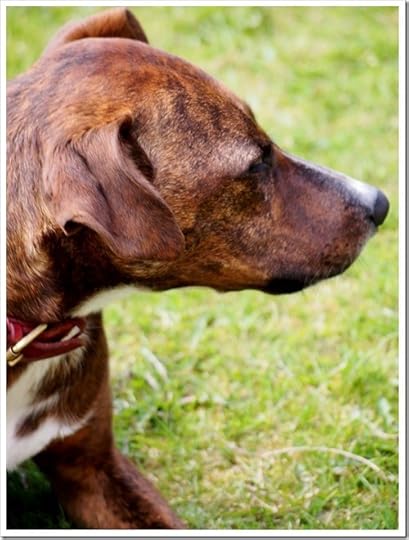 2 May 10 01-05-2013 12-26-19 3024x4032