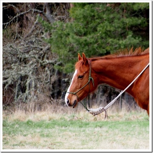 2 May 11 30-04-2013 12-34-37 2080x2075