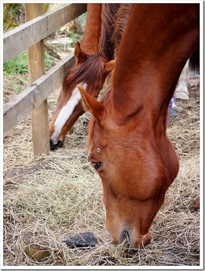 2 May 12 02-05-2013 14-13-26 3024x4032