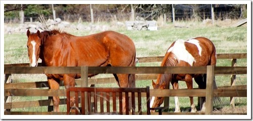 2 May 12 29-04-2013 08-25-36 3598x1640