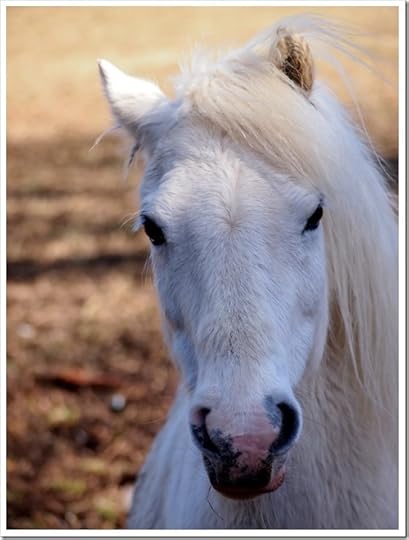 2 May 15 27-04-2013 09-19-27 3024x4032