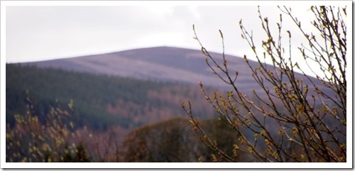 2 May 14 01-05-2013 12-26-52 4020x1849