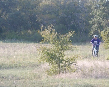 Ebike-coming-back184