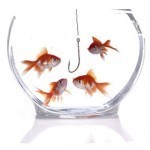 Sales Funnel- Follow Up- Personal Income