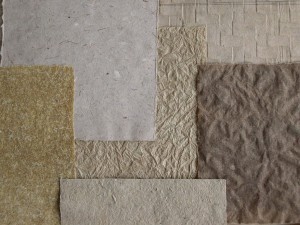 Banana paper sampler