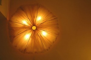 Wall Flower