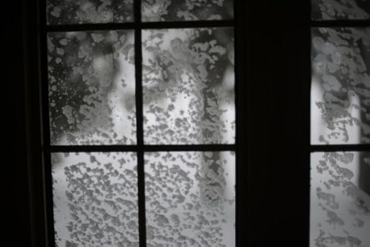 DSC_9780