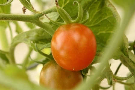 Post image for It Begins Again