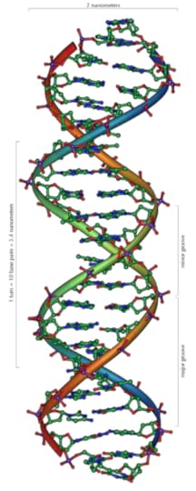 300px DNA Overview12 A Giant is Spotted! Nephilim Giants are Alive Today!