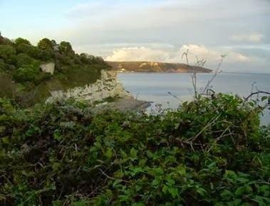 clip_image002