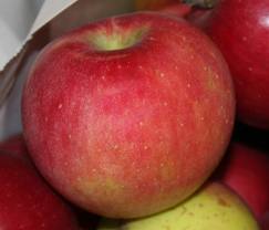 Stayman Winesap. Flavor: Tart