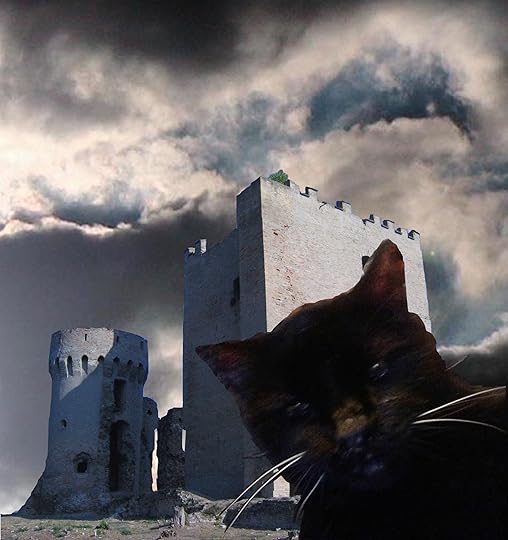 jesse sublett + noir author