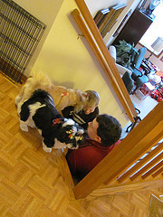 Christmas 2011