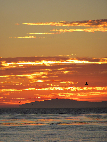Laguna Sunset