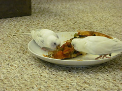 Don't turn your back on your pizza...