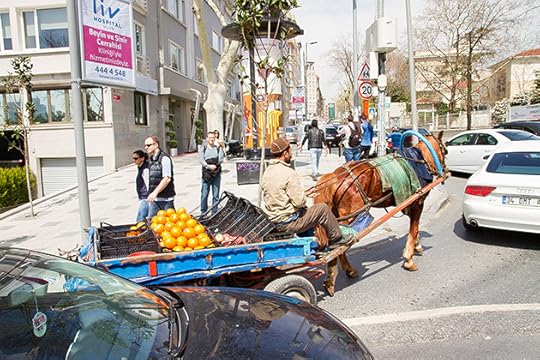 Horse Tour istanbul