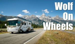 Wolf On Wheels graphic