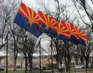 Arizona Flags - Carol Cox
