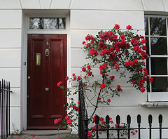 Islington house