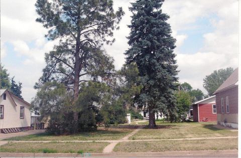 This is all that remains of my Grandmother's property in Dickinson. The house burned down in the early 2000s.