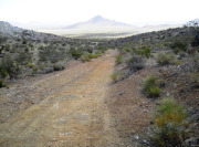desert road