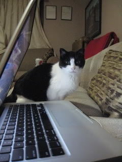 Photobucket