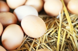 eggs3 1