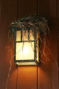 Dwelling: a light-house