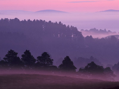 dawn
