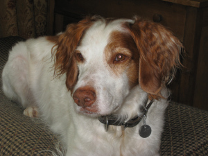 Beau II