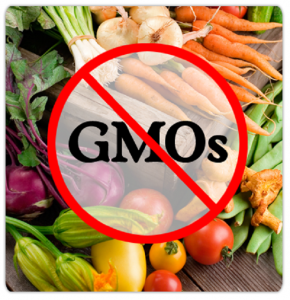 A list of GMO Free Food Companies