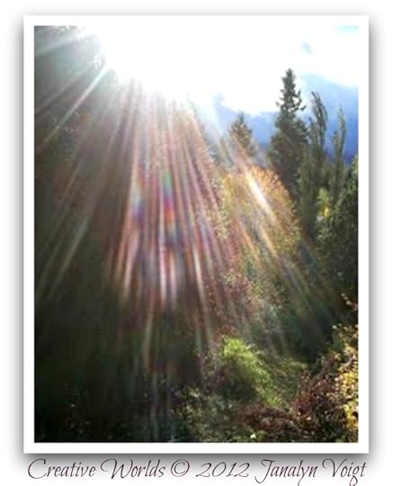Morning Glory Sunburst Capture