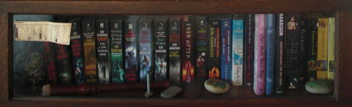 ShelfBunnies