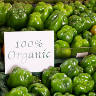 organic food