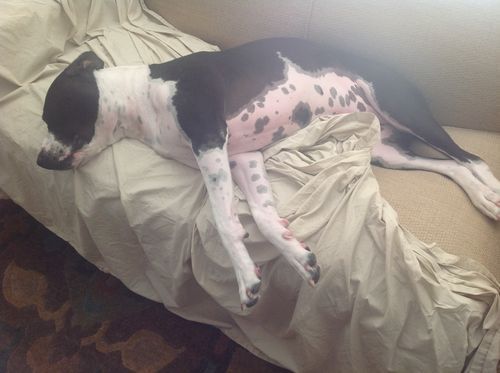 Seamus renders sheets useless