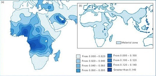 Sickle Cell Density.jpg